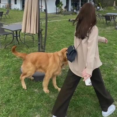 母与子